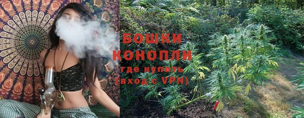молекула духа Нязепетровск