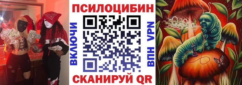 блэк спрут tor Харабали Псилоцибиновые грибы прущие грибы